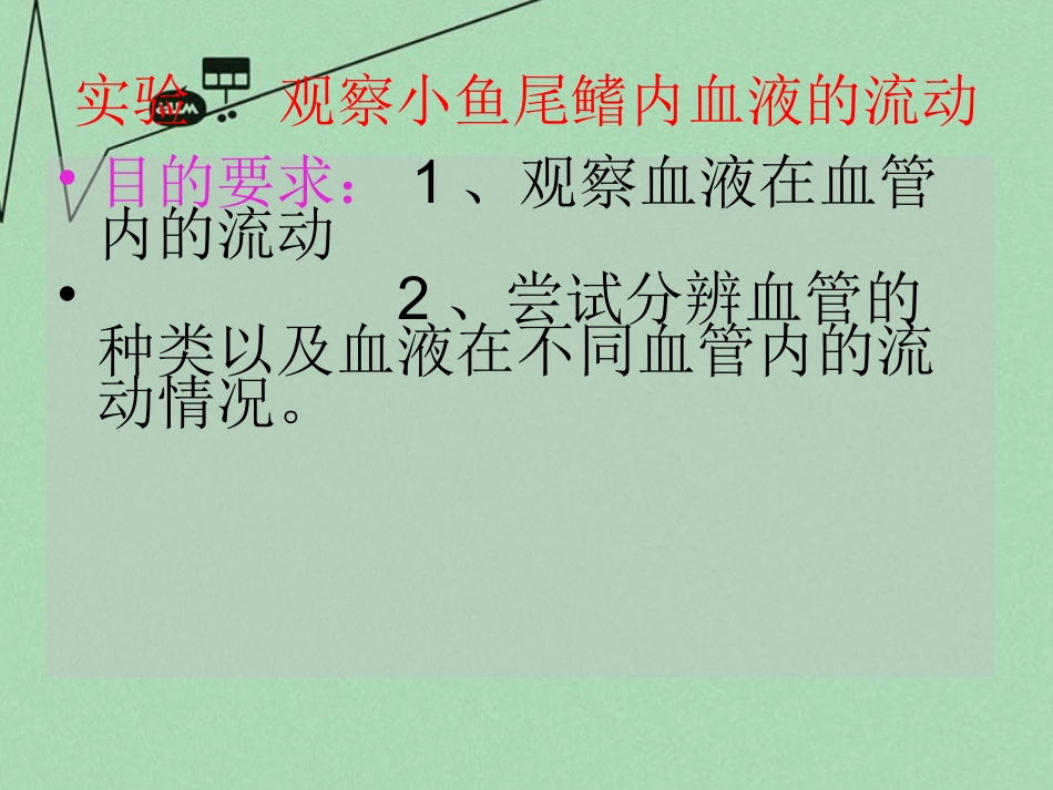 山东省滕州洪绪中学2014-2015七年级生物下册 第三章 第二节 物质运输的器官优秀课件 （新版）济南版_第3页
