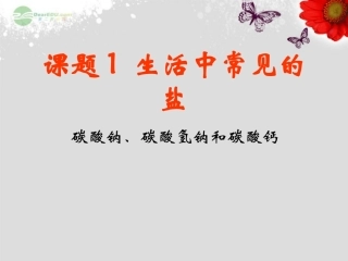 江苏省无锡市滨湖中学九年级化学下册《第十一单元 盐、化肥》课题1 生活中常见的盐课件 新人教版