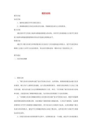 七年级生物《根的结构》教案