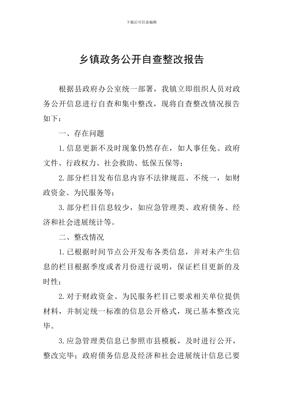 乡镇政务公开自查整改报告_第1页