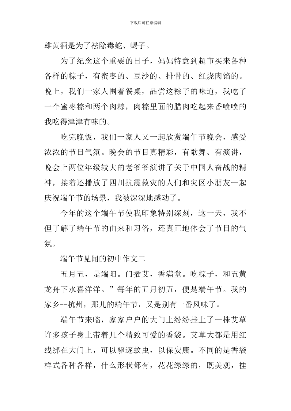 2024端午节见闻的初中作文_第2页