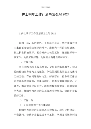 护士明年工作计划书怎么写2024