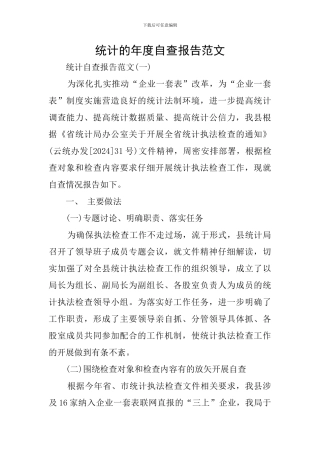 统计的年度自查报告范文