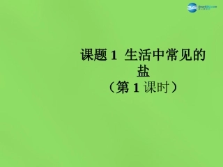 九年级化学下册 第十一单元 课题1 生活中常见的盐（第1课时）课件 （新版）新人教版