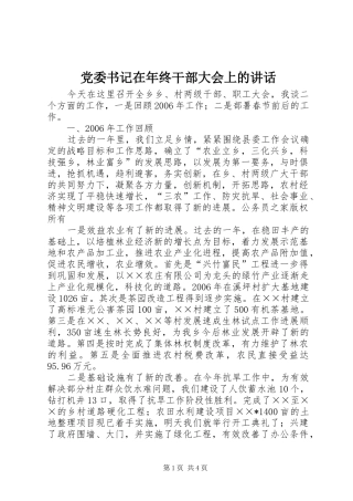 党委书记在年终干部大会上的讲话发言