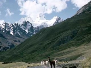 山东省胶南市博文中学七年级地理下册 第六章 认识大洲课件 （新版）湘教版