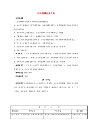 九年级化学 初识酸碱盐复习课料教案 湘教版
