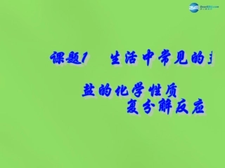 九年级化学下册 第十一单元 课题1 生活中常见的盐复习课件 新人教版