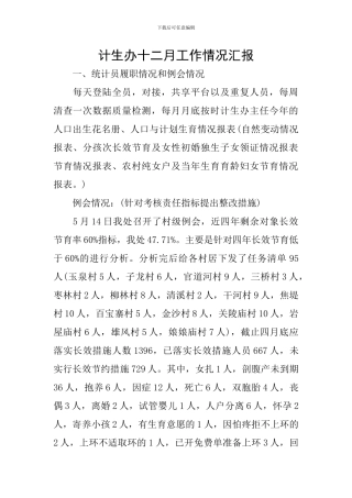 计生办十二月工作情况汇报