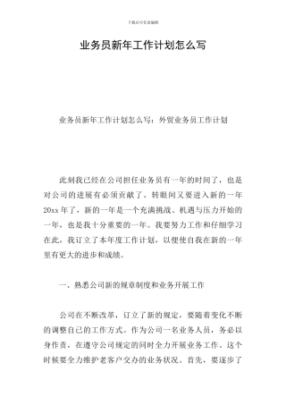 业务员新年工作计划怎么写