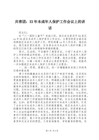 共青团：XX年未成年人保护工作会议上的讲话发言