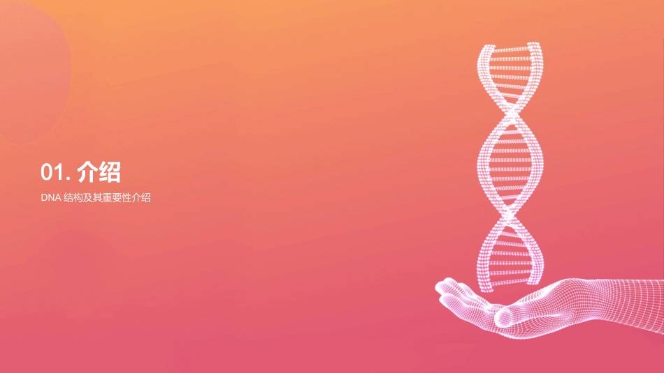 DNA分子结构-DNA分子结构及相关主题_第3页