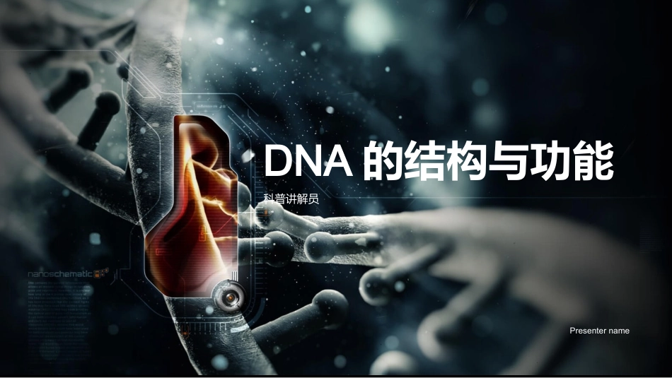 DNA的结构与功能-科普讲解员_第1页