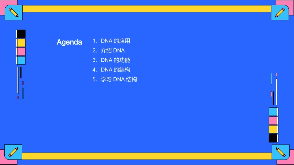 DNA结构与功能-生物教师_第2页