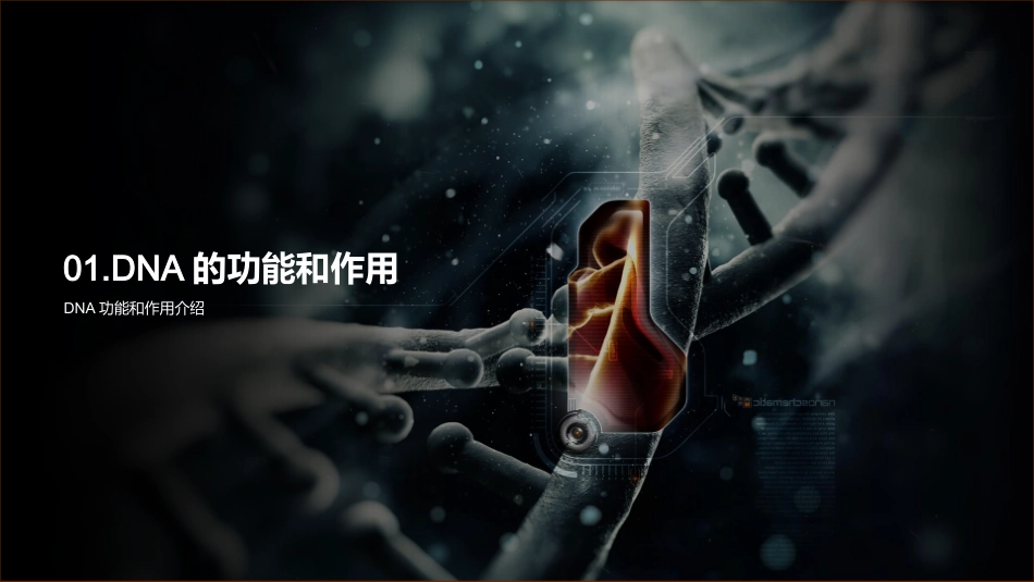 DNA结构和功能介绍-生物化学教授_第3页
