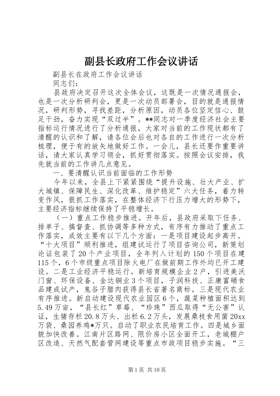 副县长政府工作会议讲话发言_第1页