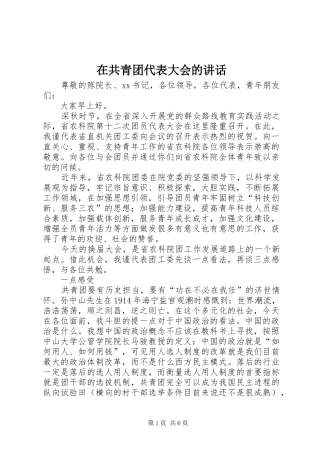 在共青团代表大会的讲话发言