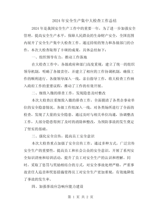 2024年安全生产集中大检查工作总结