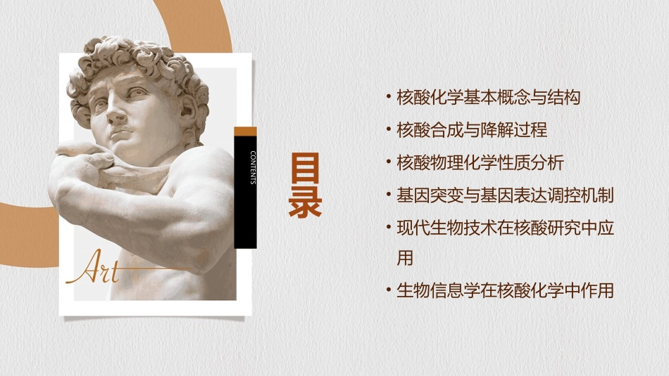 (推荐)《生物化学核酸化学》PPT课件_第2页