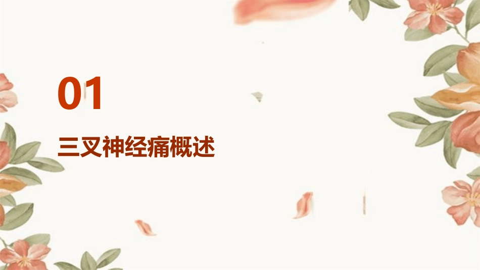 10三叉神经痛PPT课件文档(珍藏版)_第3页