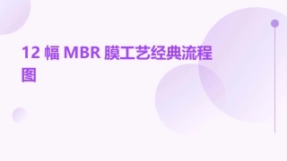 12幅MBR膜工艺经典流程图