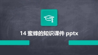 14蜜蜂的知识课件pptx