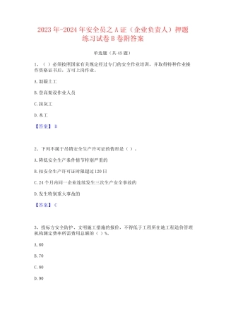 2023年-2024年安全员之A证(企业负责人)押题练习试卷B卷附答案 