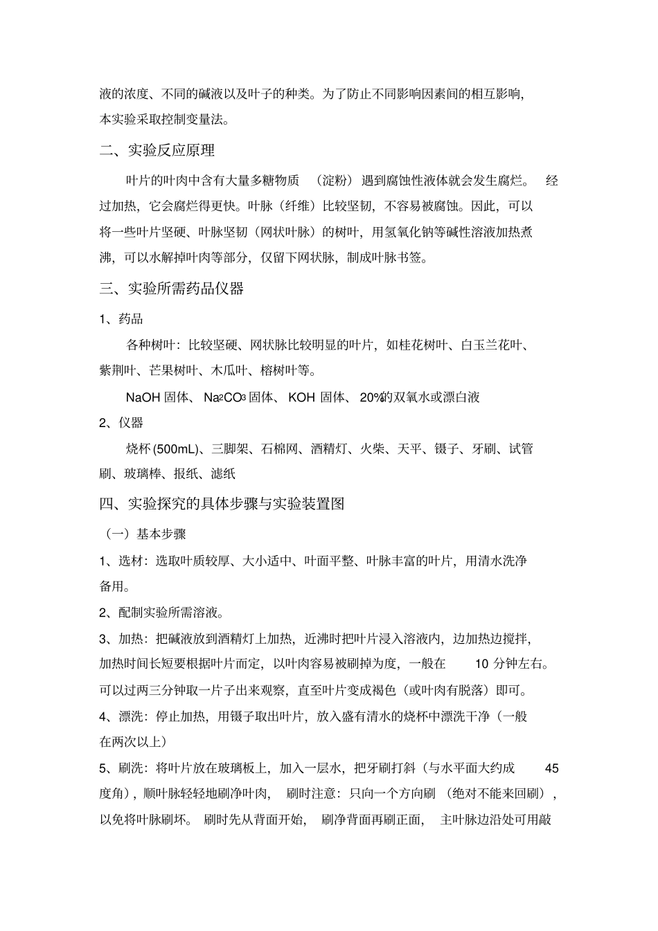 叶脉书签方案试验报告_第2页