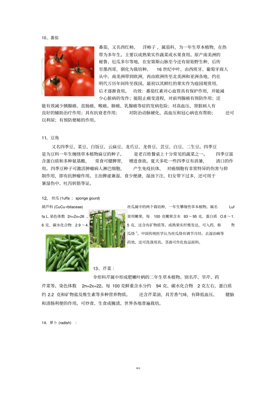 各种蔬菜介绍_第3页