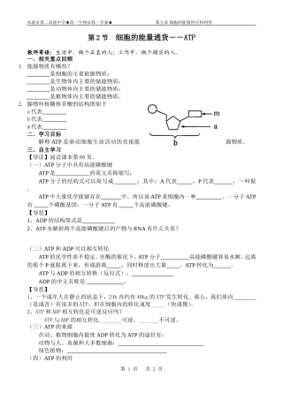 生命活动的能量“通货”——ATP