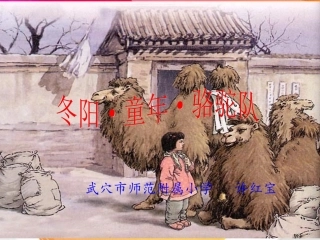冬阳·童年·骆驼队
