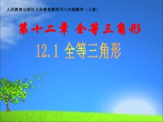 12.1全等三角形