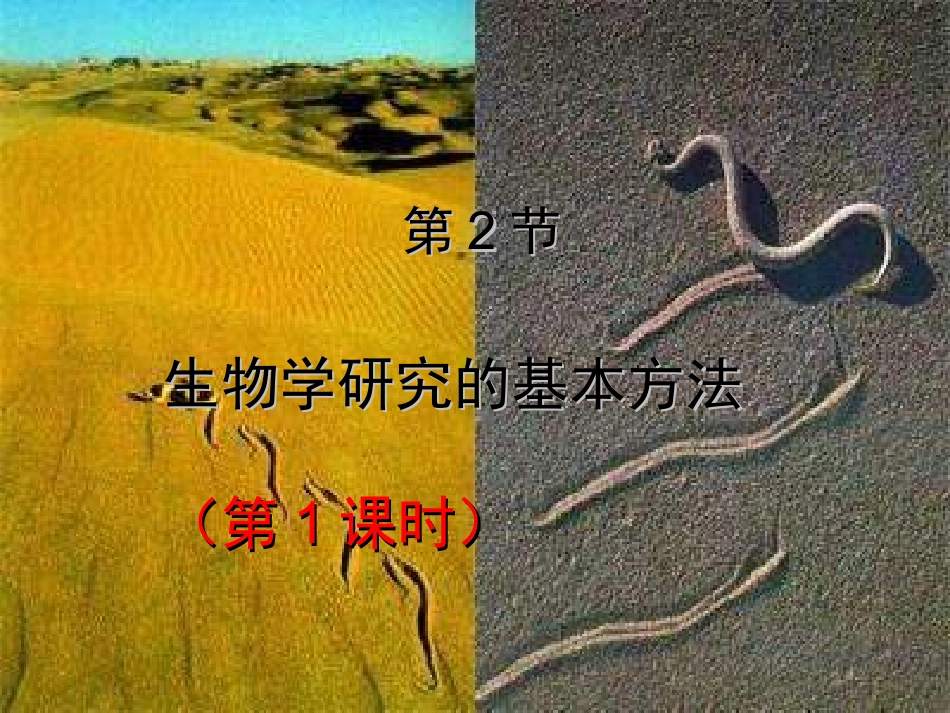 第二章第二节生物学研究的基本方法1_第2页