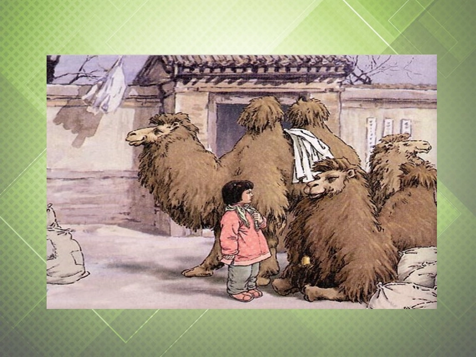 六年级语文下册-冬阳童年骆驼队-1课件-西师大版_第3页