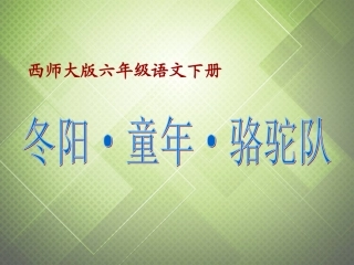 六年级语文下册-冬阳童年骆驼队-1课件-西师大版