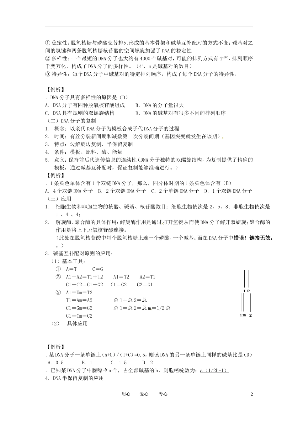 高中生物知识梳理复习-遗传的物质基础之DNA分子的结构和复制_第2页