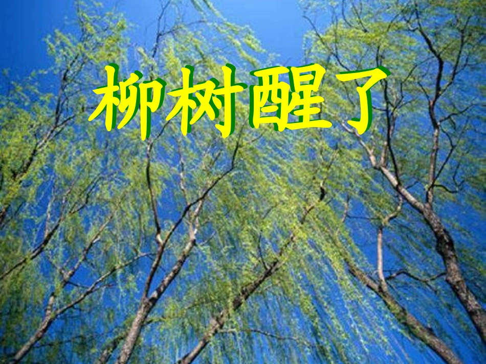 小学语文一年级课件-柳树醒了-5_第1页