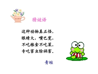苏教版二年级语文《青蛙看海》