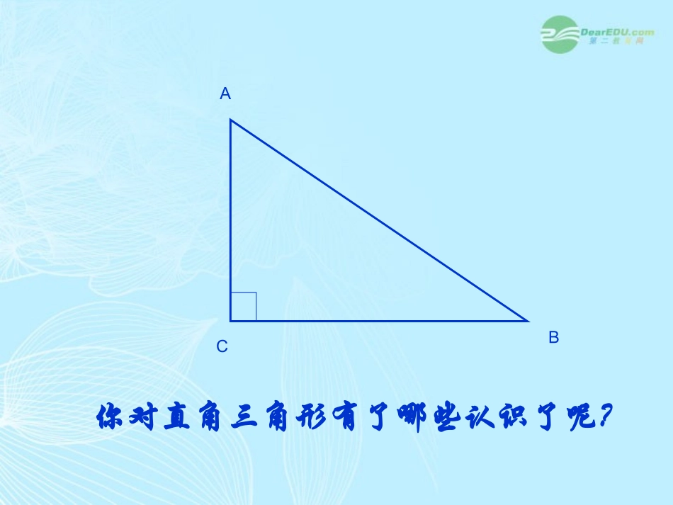 浙江省台州温岭市第三中学八年级数学-18.1勾股定理课件-人教新课标版_第2页