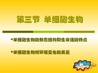 4.3单细胞的生物
