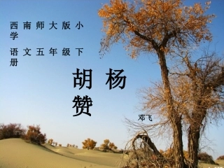 29植物之间的“爱”和“恨”