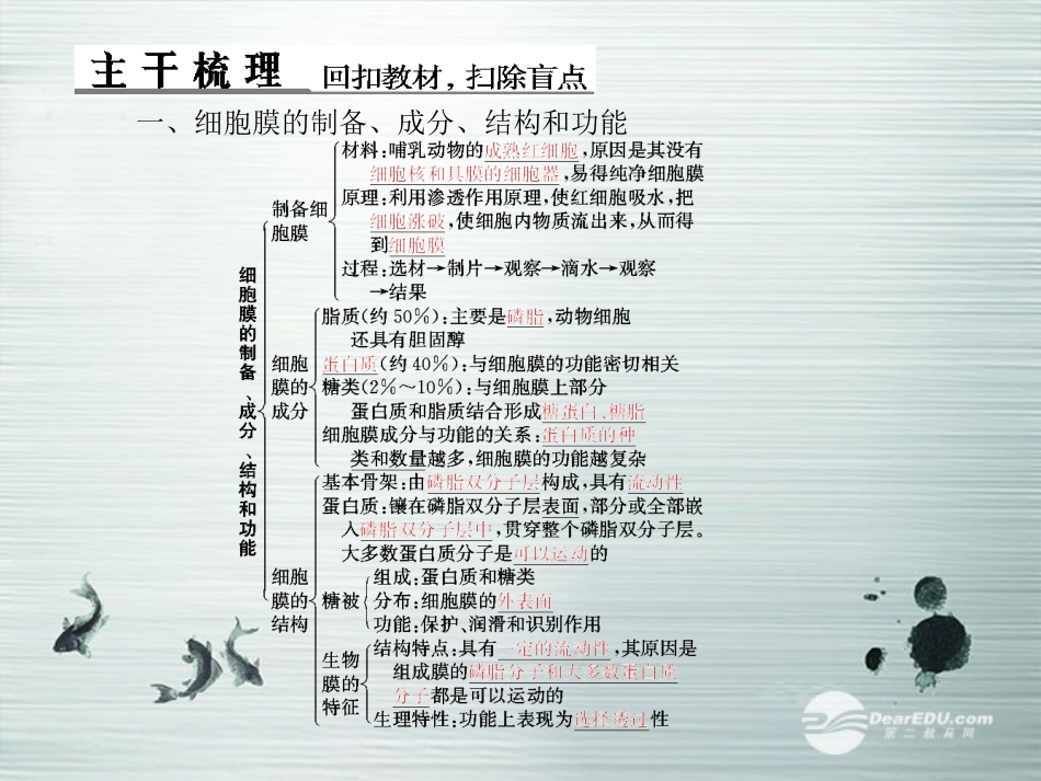 【优化探究】2014届高考生物总复习-1-3-1细胞膜与细胞核(含生物膜的流动镶嵌模型)配套课件-新人教版必修1_第3页