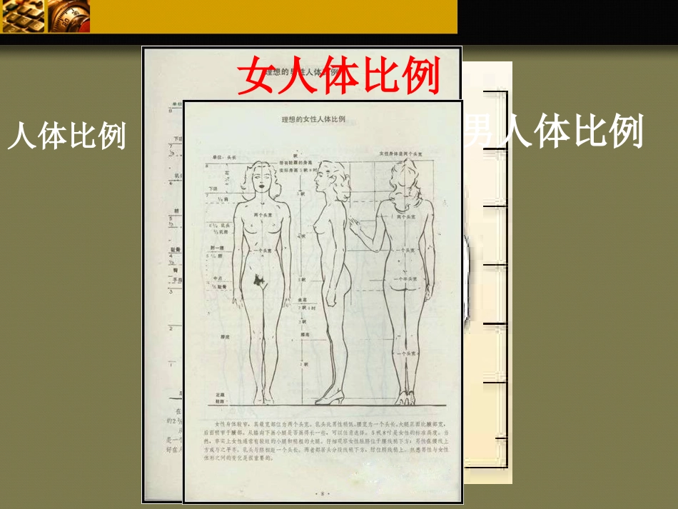 人体结构设计_第3页