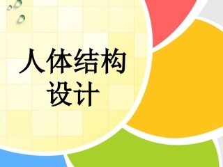 人体结构设计