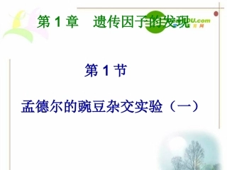 高中生物孟德尔生物杂交实验1课件人教版必修2