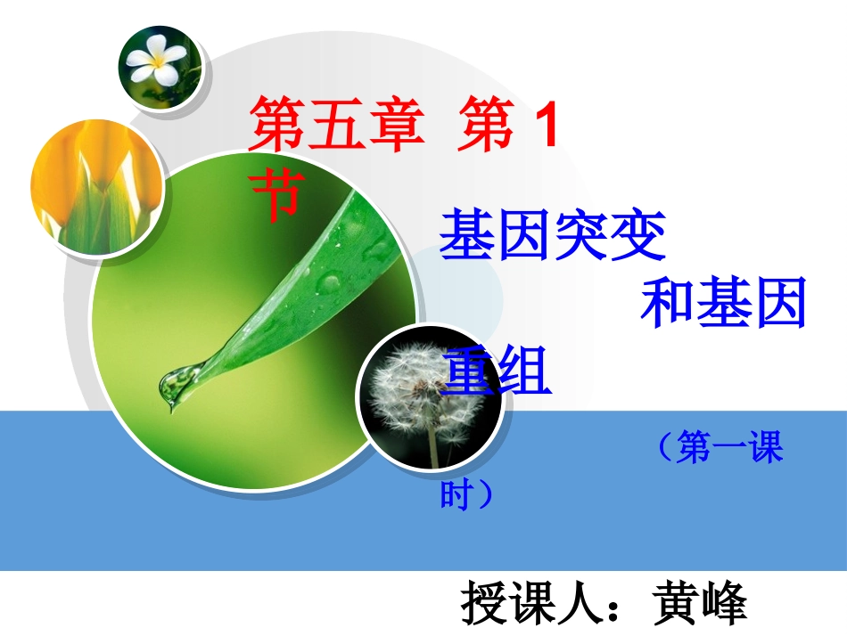 第一节生物变异的来源-(2)_第1页