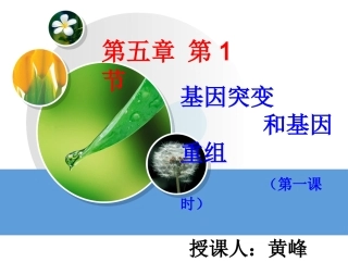 第一节生物变异的来源-(2)