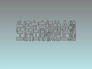 生活在南极的企鹅-(2)