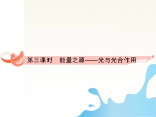 2012届高考生物第一轮复习-第三课时能量之源-光与光合作用讲练测课件11