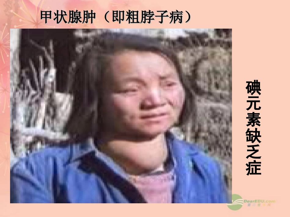 2012秋开学九年级化学《元素》精品课件-北京课改版_第2页